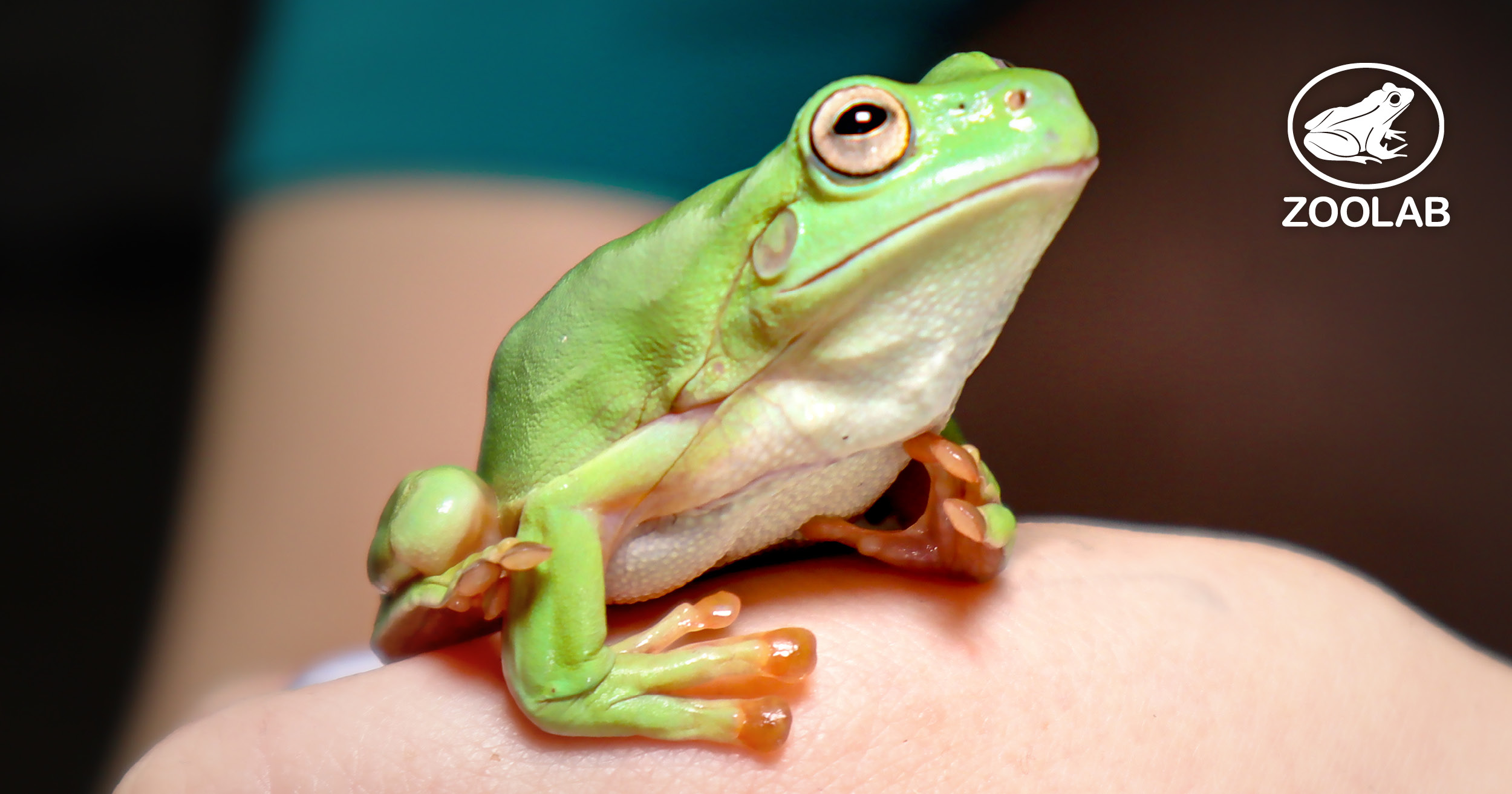 Zoolab