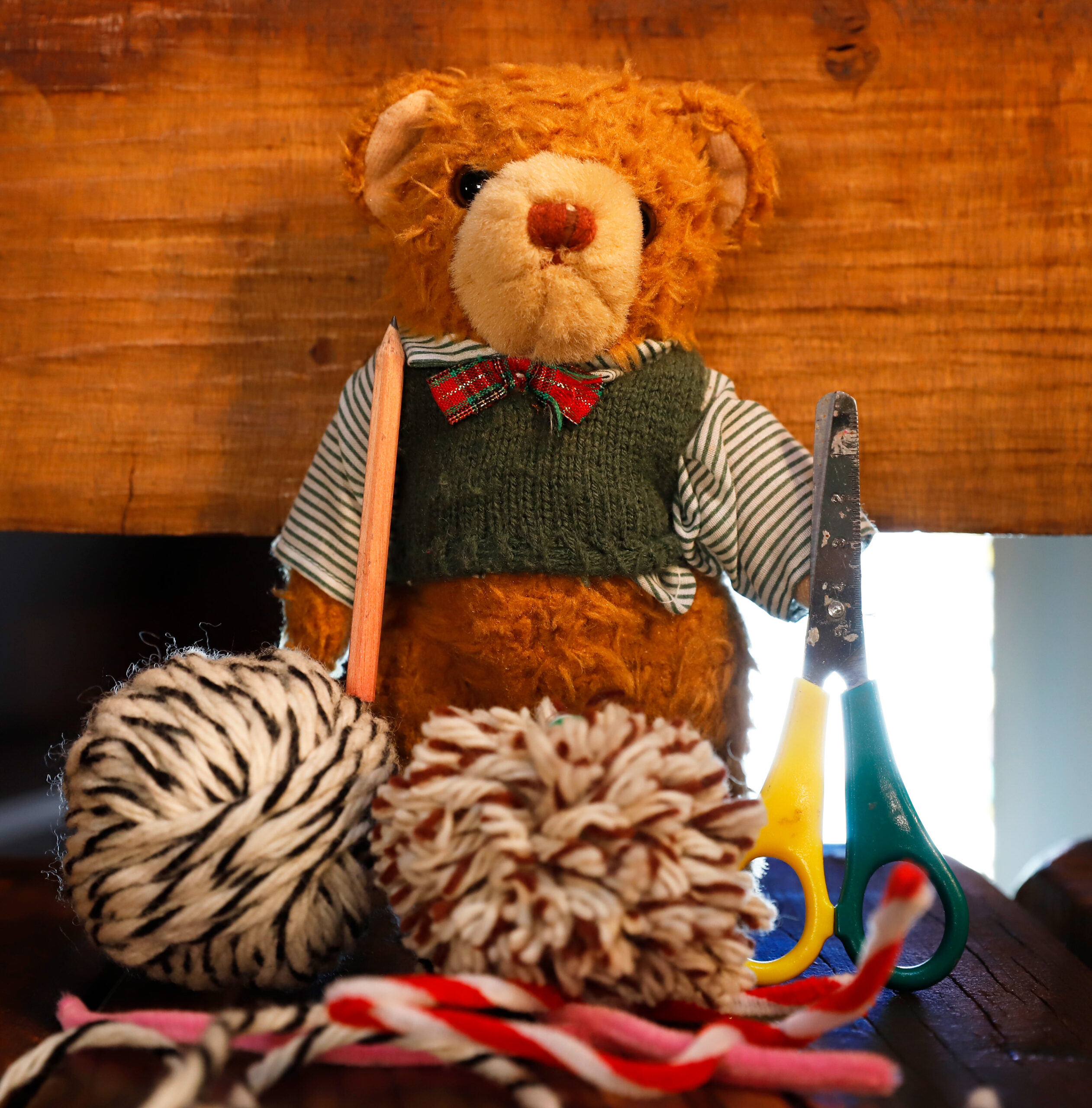 Brilliant Bears Craft Workshop